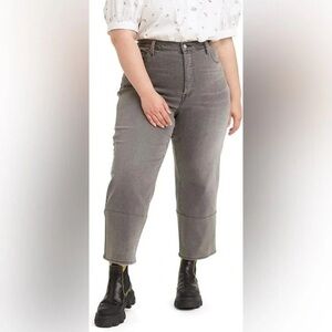 LEVIS l Plus Ribcage Straight Ankle Cosmic Chatter Jeans Size 22M
